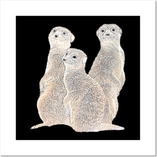 Funny Meerkat - Mongoose - in Africa Posters and Art